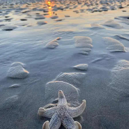 度假居 La Maison Des Vacances, A Deux Pas De La Mer.
